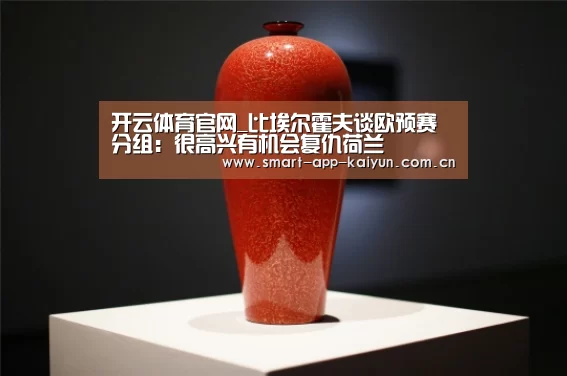 开云体育官网_比埃尔霍夫谈欧预赛分组:很高兴有机会复仇荷兰(图3) 开云官网导航