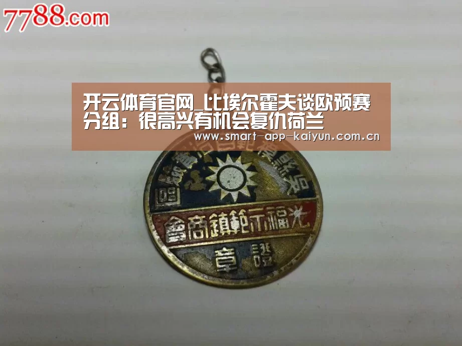 开云体育官网_比埃尔霍夫谈欧预赛分组:很高兴有机会复仇荷兰(图2) 开云官网