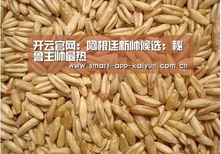 开云官网:阿根廷新帅候选:秘鲁主帅最热(图3) 开云官网