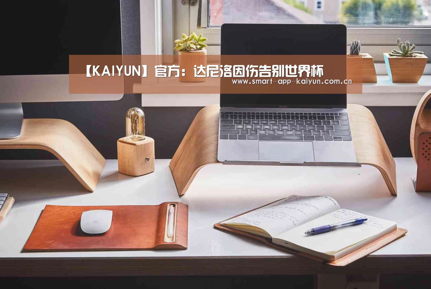 开云官网导航