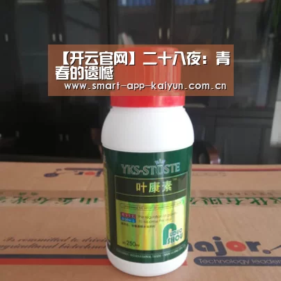 【开云官网】二十八夜:青春的遗憾(图3) 开云官网